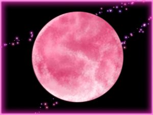 ストロベリームーン 余命半年の恋