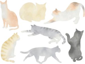 在宅ワーク中に猫が邪魔してくる！かわいいけど困るときの解決法