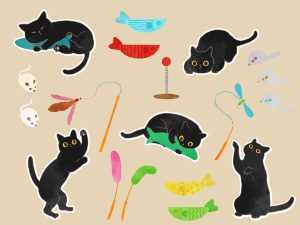 在宅ワーク中に猫が邪魔してくる！かわいいけど困るときの解決法