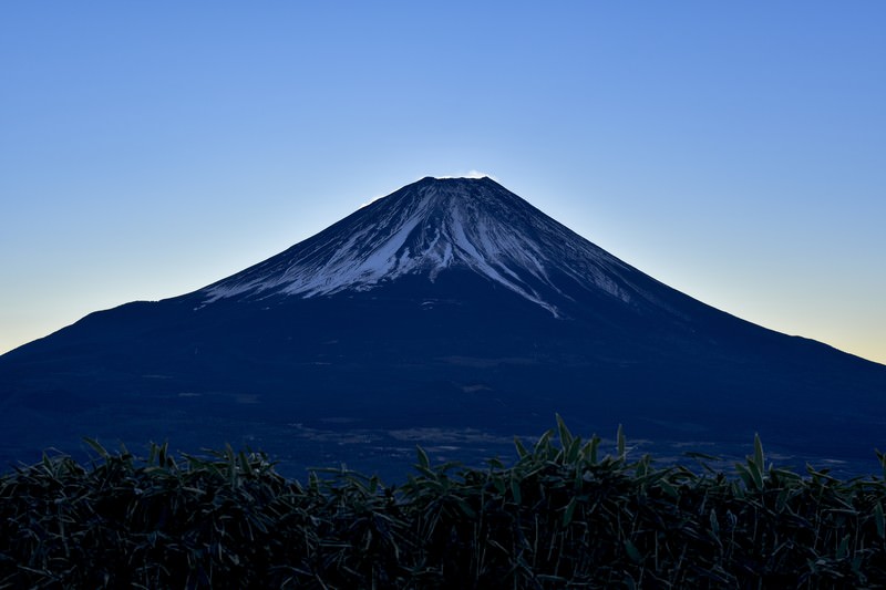 山梨県で楽しむ！子連れOKの街歩き×ご近所グルメ開拓プラン【夏休みにおすすめ】